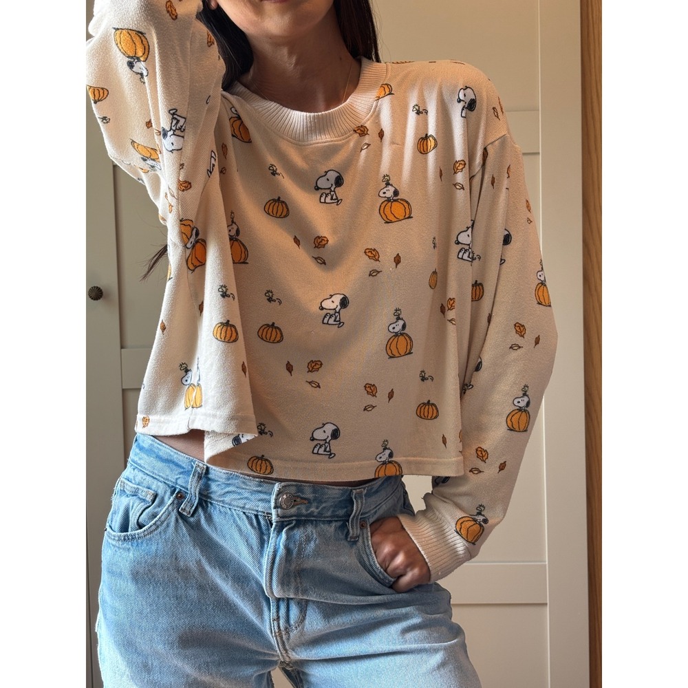 American Eagle Peanuts Snoopy Pumpkin Fall Cropped Baggy Halloween Sweater szM